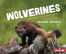 Wolverines: Nature's Cleanup Crew
