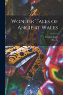 Wonder Tales of Ancient Wales