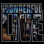 Wonderful [Live] [25th Anniversary]