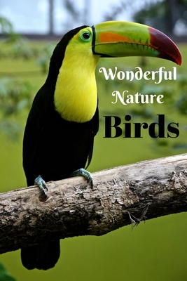 Wonderful Nature Birds: Picture book gift for seniors with Dementia or patients with Alzheimer's. 40 full color photographs of birds, with names in large print. - Publishing, Nature Photobook