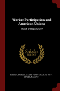 Worker Participation and American Unions: Threat or Opportunity?