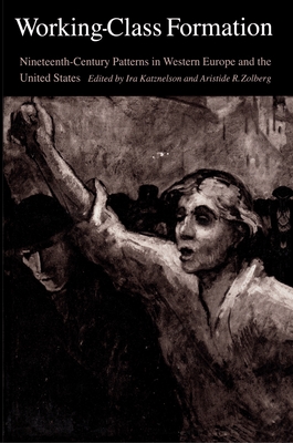 Working-Class Formation: Ninteenth-Century Patterns in Western Europe and the United States - Katznelson, Ira, Professor (Editor), and Zolberg, Aristide R (Editor)
