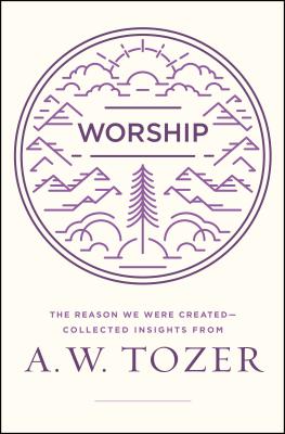Worship: The Reason We Were Created-Collected Insights from A. W. Tozer - Tozer, A W