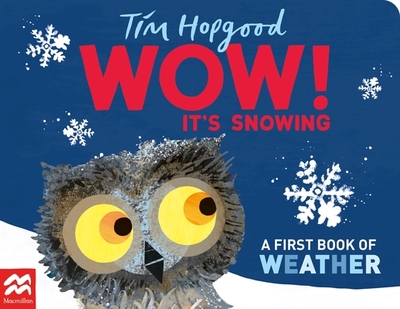 WOW! It's Snowing: A First Book of Weather - Hopgood, Tim