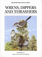 Wrens, Dippers and Thrashers