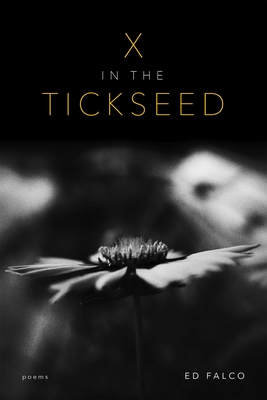 X in the Tickseed: Poems - Falco, Ed