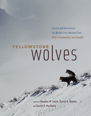 Yellowstone Wolves: Science and Discovery in the World's First National Park - Smith, Douglas W (Editor), and Stahler, Daniel R (Editor), and Macnulty, Daniel R (Editor)