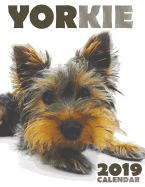 Yorkie 2019 Calendar