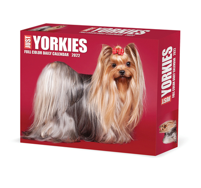 Yorkies 2022 Box Calendar-Dog Breed Daily Desktop - Willow Creek Press