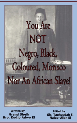 You Are NOT Negro, Black, Coloured, Morisco Nor An African Slave! - Adwo El, Kudjo, and Najee-Ullah El, Tauheedah S (Editor)