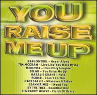 You Raise Me Up [Curb] - Various Artists