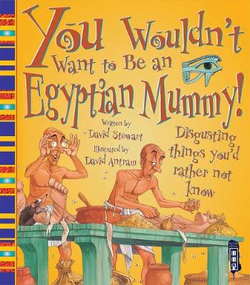 You Wouldn't Want To Be An Egyptian Mummy! - Stewart, David