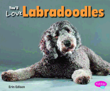 You'll Love Labradoodles