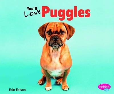 You'll Love Puggles - Saunders-Smith, Gail (Consultant editor), and Edison, Erin