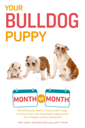 Your Bulldog Puppy Month by Month: Everything You Need to Know at Each Stage to Ensure Your Cute and Playful Puppy
