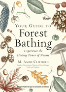 Your GT Forest Bathing (Expand
