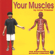 Your Muscles