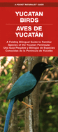 Yucatan Birds/Aves de Yucatan: A Folding Pocket Guide to Familiar Species/Una Guia Plegable Portatil de Especies Conocidas