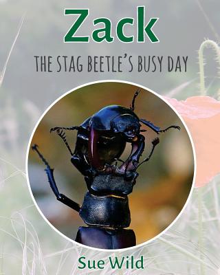 Zack: The stag beetle's busy day - Wild, Sue