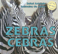 Zebras / Cebras