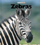 Zebras - Markert, Jenny