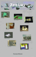 Zenlux: Architecture & Electronics