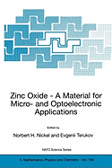 Zinc Oxide - A Material for Micro- And Optoelectronic Applications: Proceedings of the NATO Advanced Research Workshop on Zinc Oxide as a Material for Micro- And Optoelectronic Applications, Held in St. Petersburg, Russia, from 23 to 25 June 2004