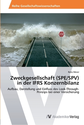 Zweckgesellschaft (SPE/SPV) in der IFRS Konzernbilanz - Meier, Reto