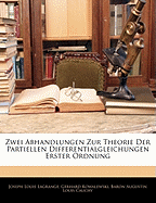Zwei Abhandlungen Zur Theorie Der Partiellen Differentialgleichungen Erster Ordnung (Classic Reprint)